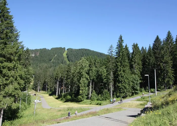 Lägenhet Rezidence Sumava Železná Ruda